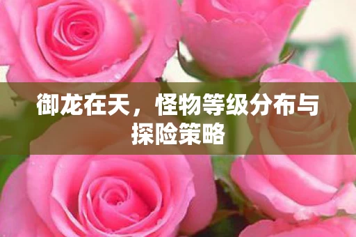 怪物等级分布与探险策略图片