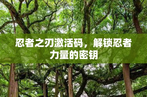 解锁忍者力量的密钥图片