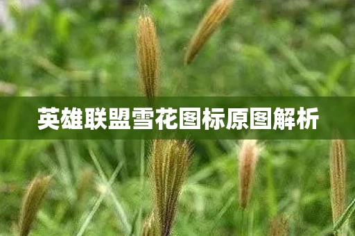 英雄联盟雪花图标原图解析图片