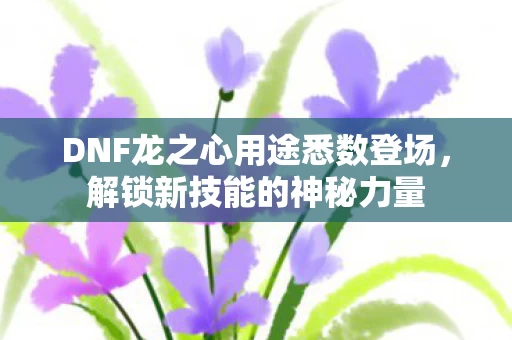 DNF龙之心用途悉数登场图片