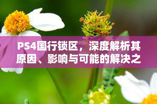 影响与可能的解决之道图片