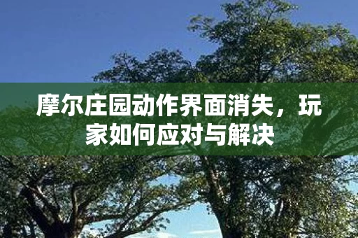摩尔庄园动作界面消失图片