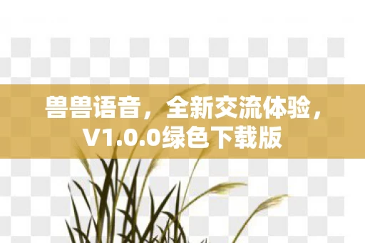 全新交流体验图片