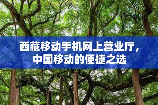 西藏移动手机网上营业厅图片