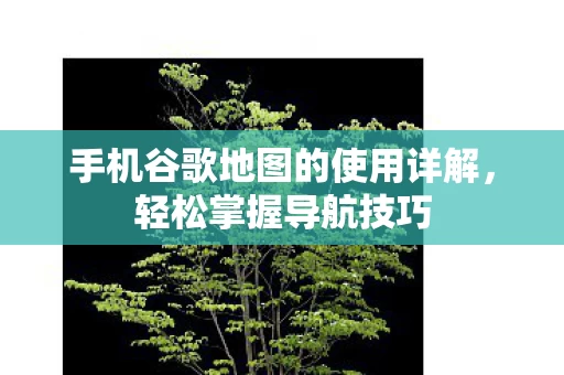 手机谷歌地图的使用详解图片