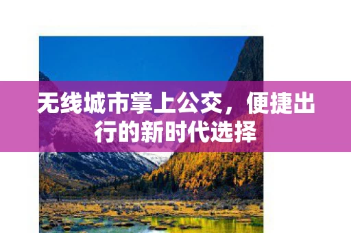 便捷出行的新时代选择图片