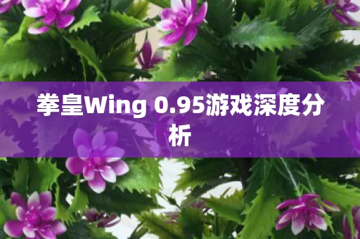拳皇Wing 0图片