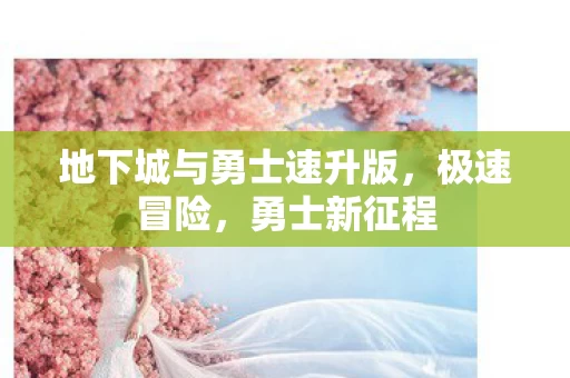 地下城与勇士速升版图片