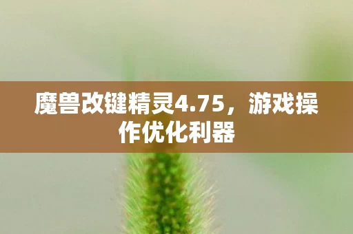 游戏操作优化利器图片