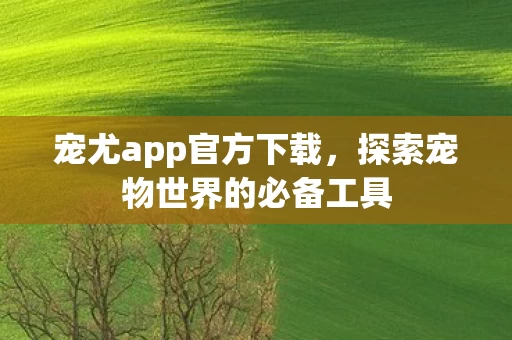 探索宠物世界的必备工具图片