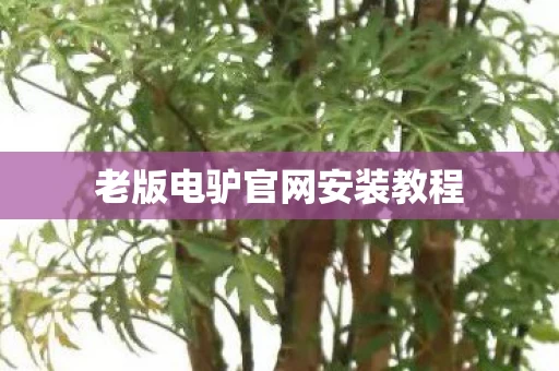 老版电驴官网安装教程图片