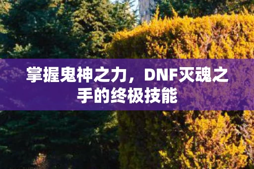 DNF灭魂之手的终极技能图片