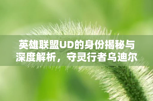 英雄联盟UD的身份揭秘与深度解析图片