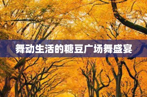 舞动生活的糖豆广场舞盛宴图片