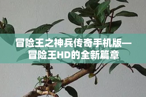 冒险王之神兵传奇手机版图片