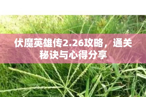 通关秘诀与心得分享图片