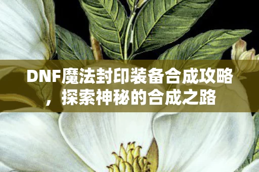 DNF魔法封印装备合成攻略图片