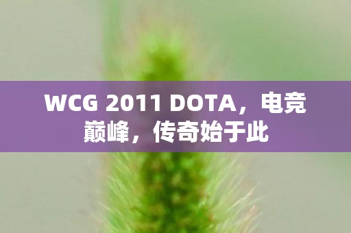 WCG 2011 DOTA图片