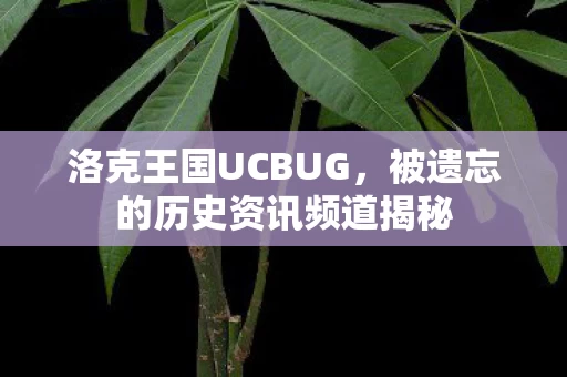 被遗忘的历史资讯频道揭秘图片