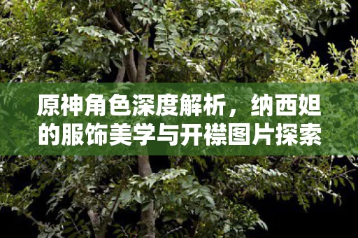 纳西妲的服饰美学与开襟图片探索图片