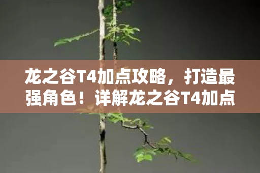 详解龙之谷T4加点器使用技巧图片