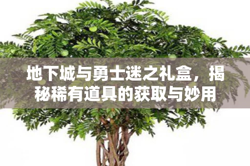 揭秘稀有道具的获取与妙用图片