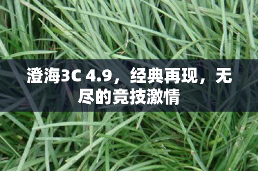 无尽的竞技激情图片