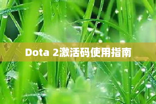 Dota 2激活码使用指南图片