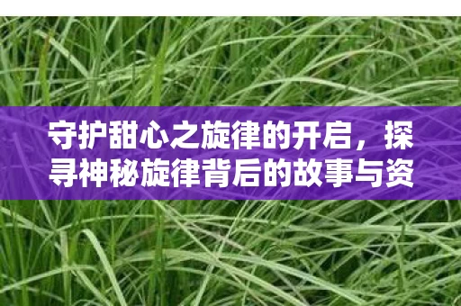 探寻神秘旋律背后的故事与资讯图片