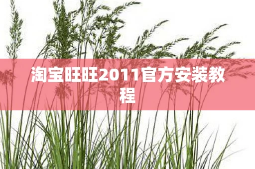 淘宝旺旺2011官方安装教程图片
