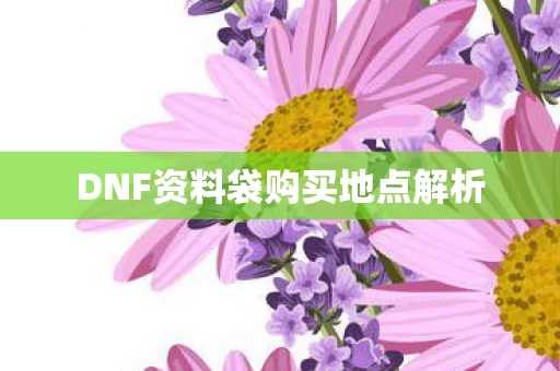 DNF资料袋购买地点解析图片