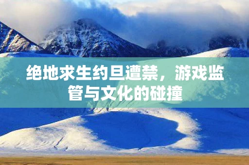 游戏监管与文化的碰撞图片