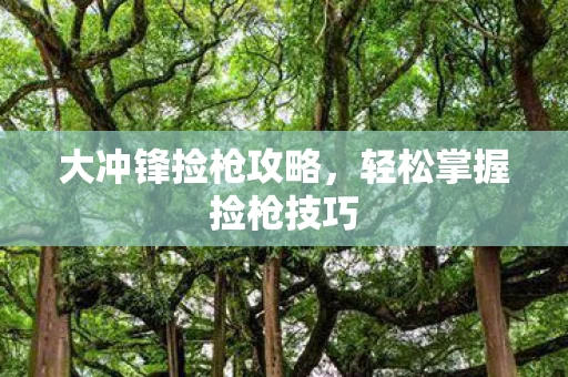 轻松掌握捡枪技巧图片