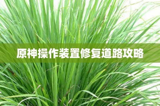 原神操作装置修复道路攻略 原神操作装置修复道路攻略