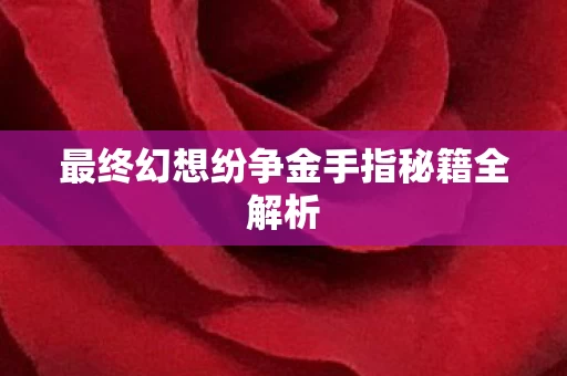 最终幻想纷争金手指秘籍全解析图片