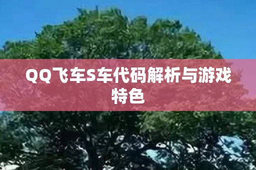 QQ飞车S车代码解析与游戏特色图片