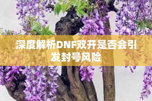 深度解析DNF双开是否会引发封号风险图片