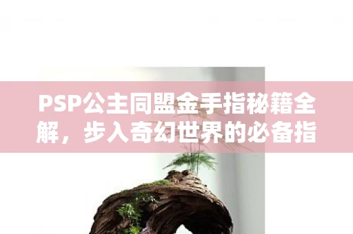 PSP公主同盟金手指秘籍全解图片