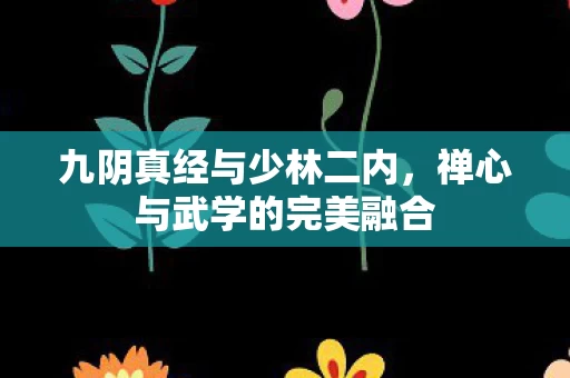 禅心与武学的完美融合图片