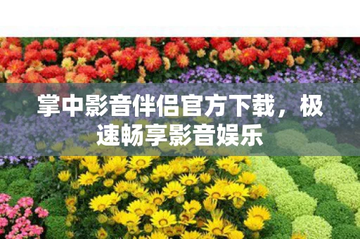 掌中影音伴侣官方下载图片