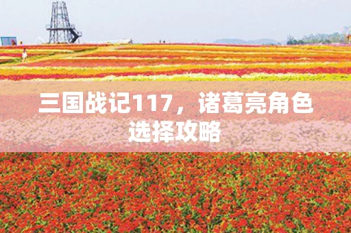 诸葛亮角色选择攻略图片