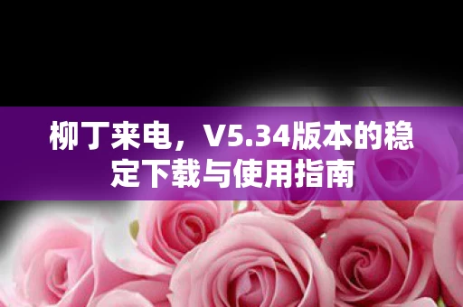 34版本的稳定下载与使用指南图片