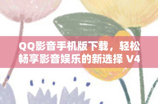 轻松畅享影音娱乐的新选择 V4图片