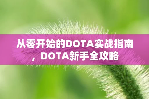 从零开始的DOTA实战指南图片