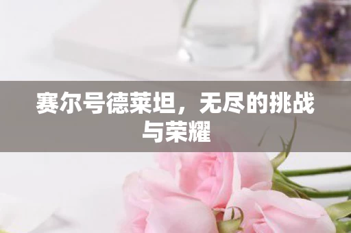 无尽的挑战与荣耀图片