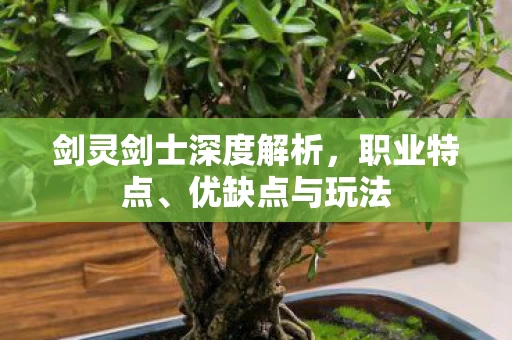 剑灵剑士深度解析图片