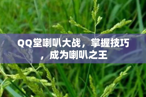 QQ堂喇叭大战图片