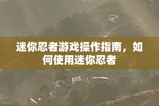迷你忍者游戏操作指南图片