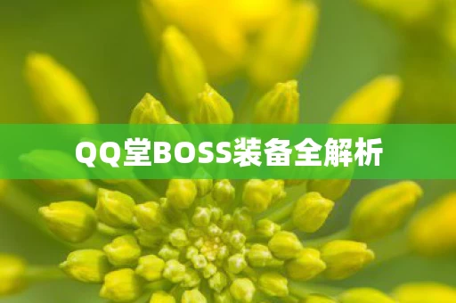 QQ堂BOSS装备全解析图片