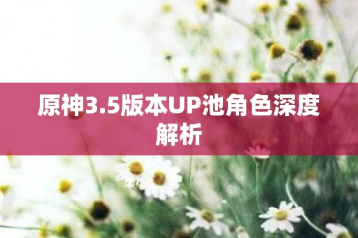 5版本UP池角色深度解析图片